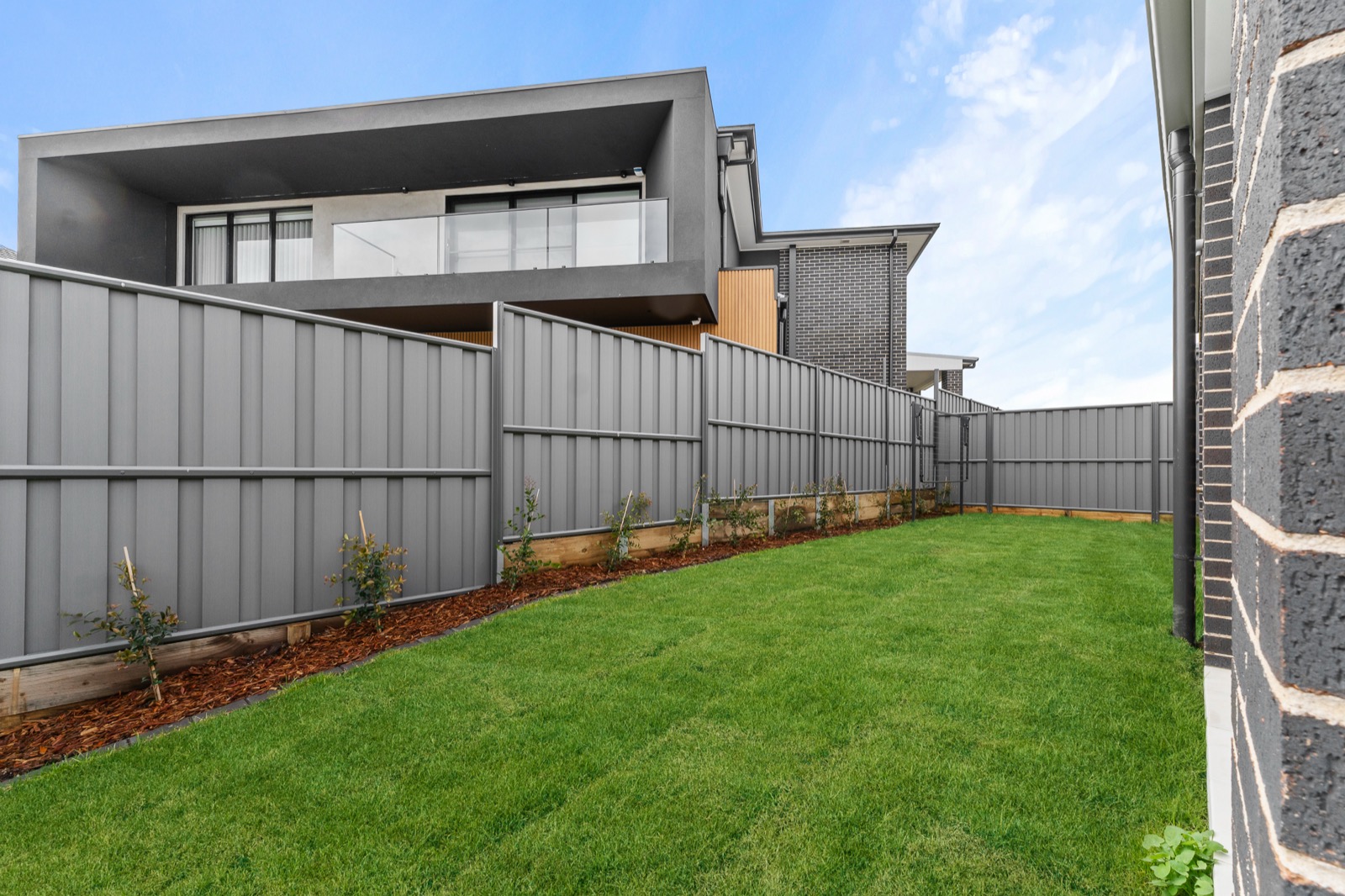 Freshly turfed backyard with privacy fencing and new landscaping